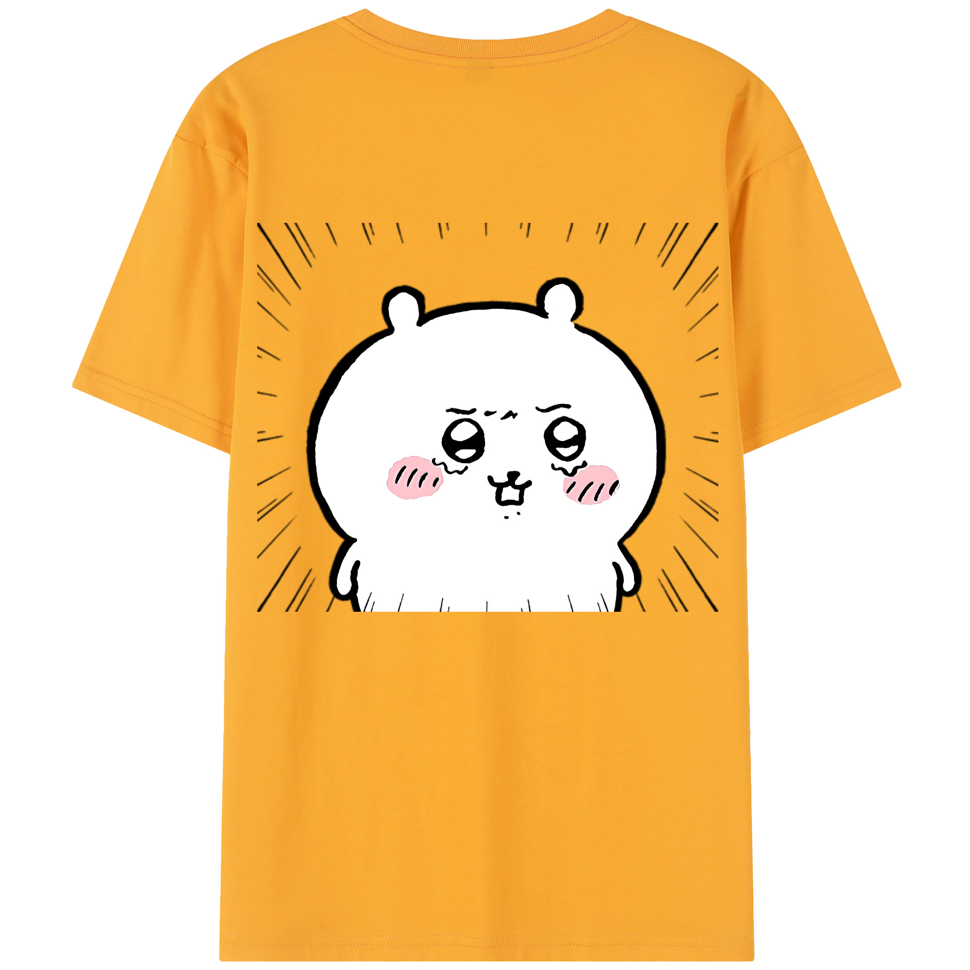（画像用） ちいかわ ちいかわ Chii-kawa chiikawa レディース半袖Tシャツ(バックプリント)