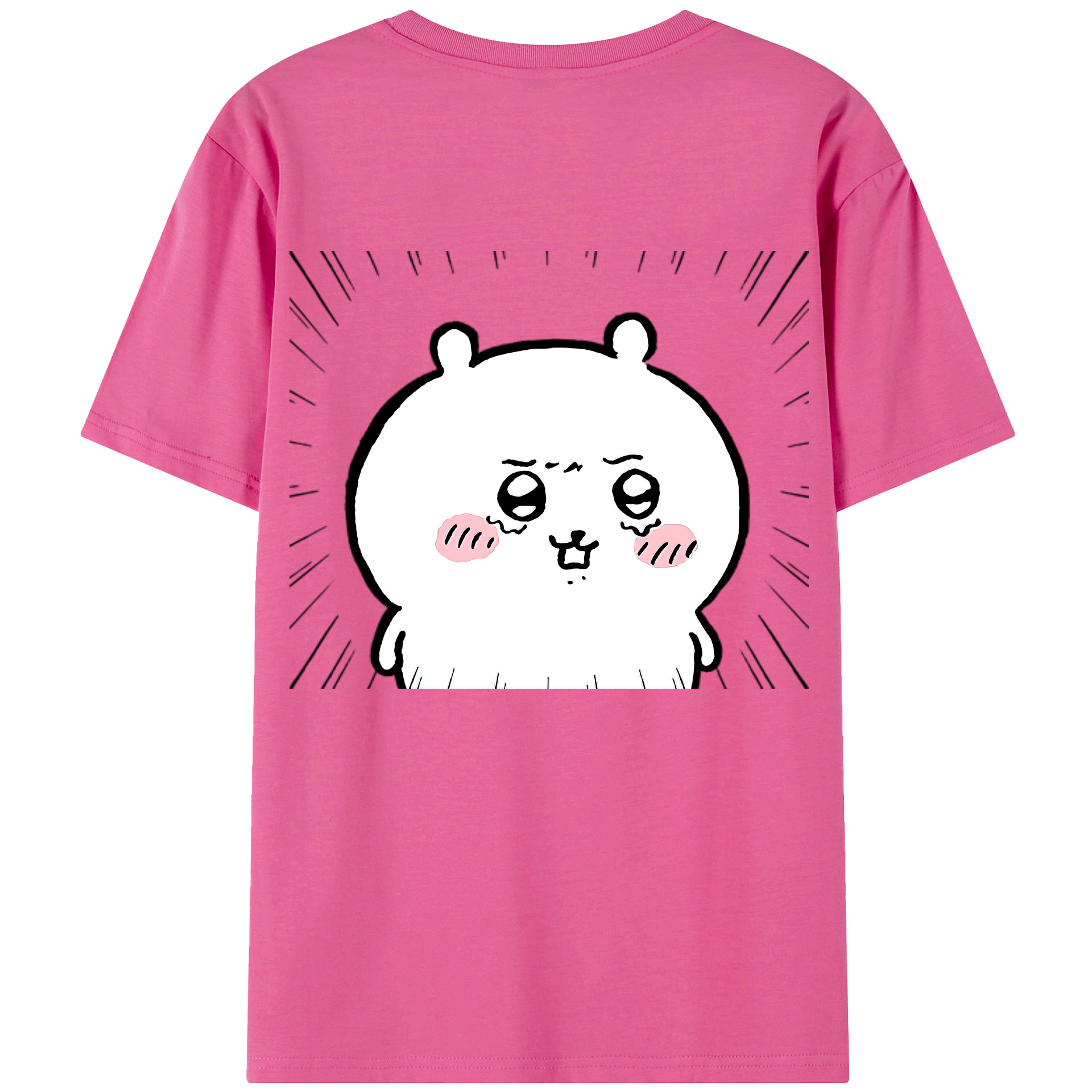 （画像用） ちいかわ ちいかわ Chii-kawa chiikawa レディース半袖Tシャツ(バックプリント)