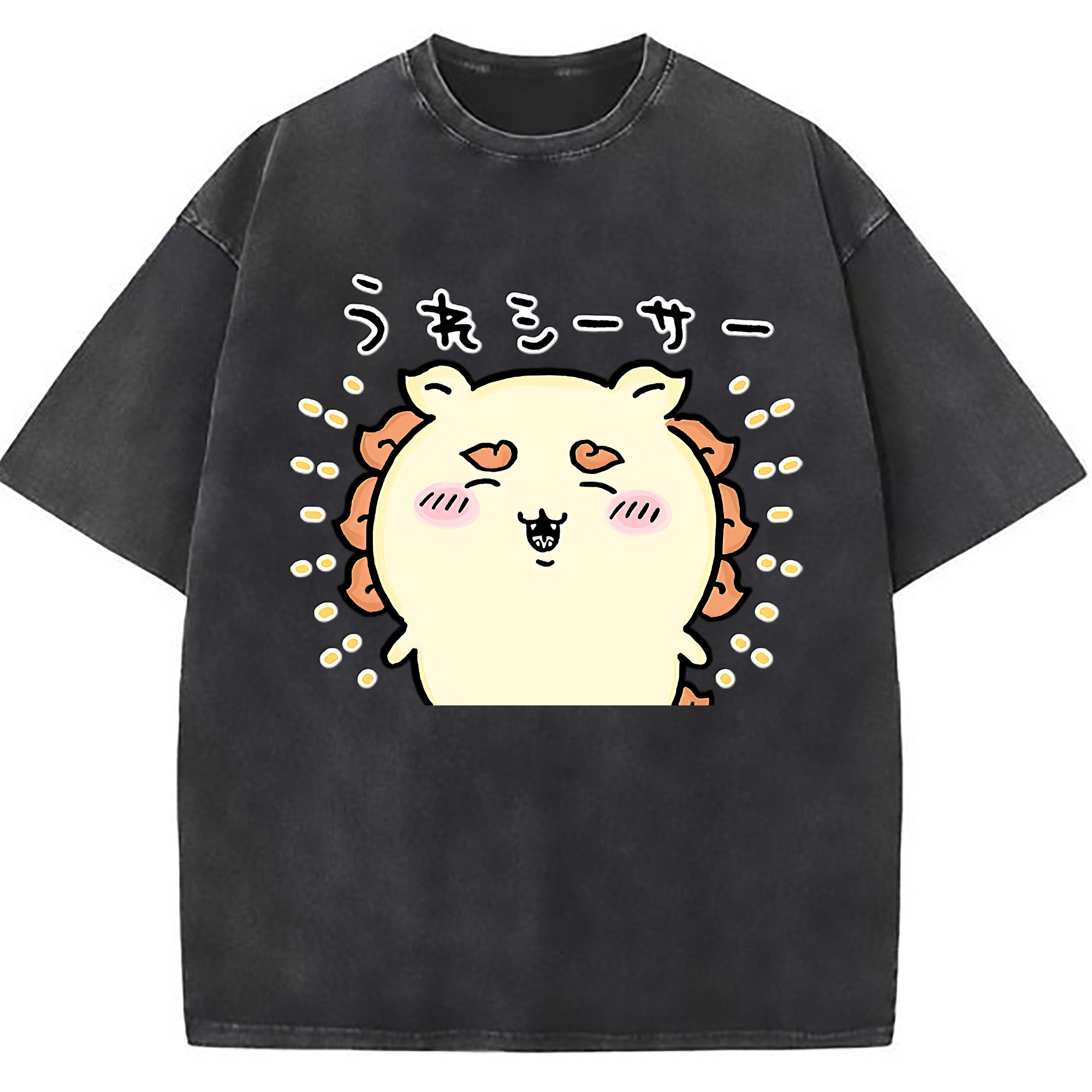 （画像用） ちいかわ シーサー Chii-kawa Shisa 綿100% ヴィンテージ風 半袖Tシャツ（フロントプリント）