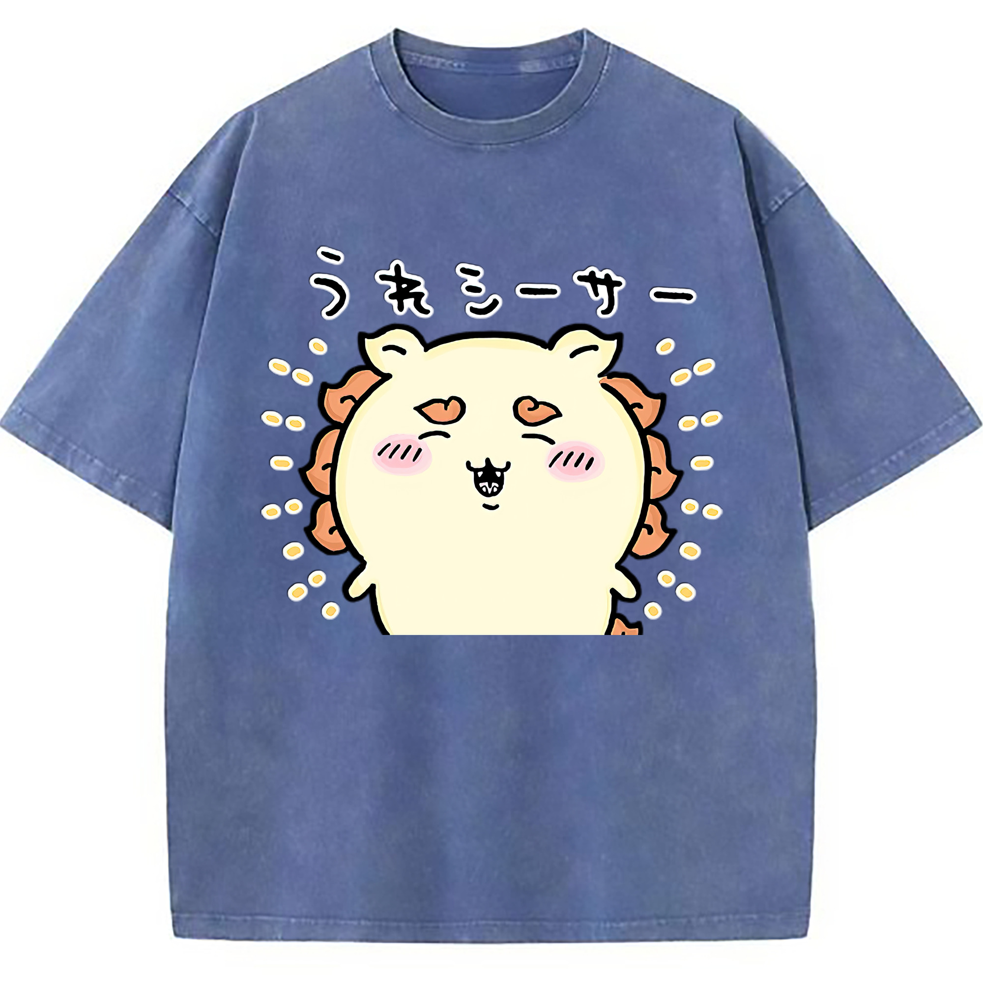 （画像用） ちいかわ シーサー Chii-kawa Shisa 綿100% ヴィンテージ風 半袖Tシャツ（フロントプリント）