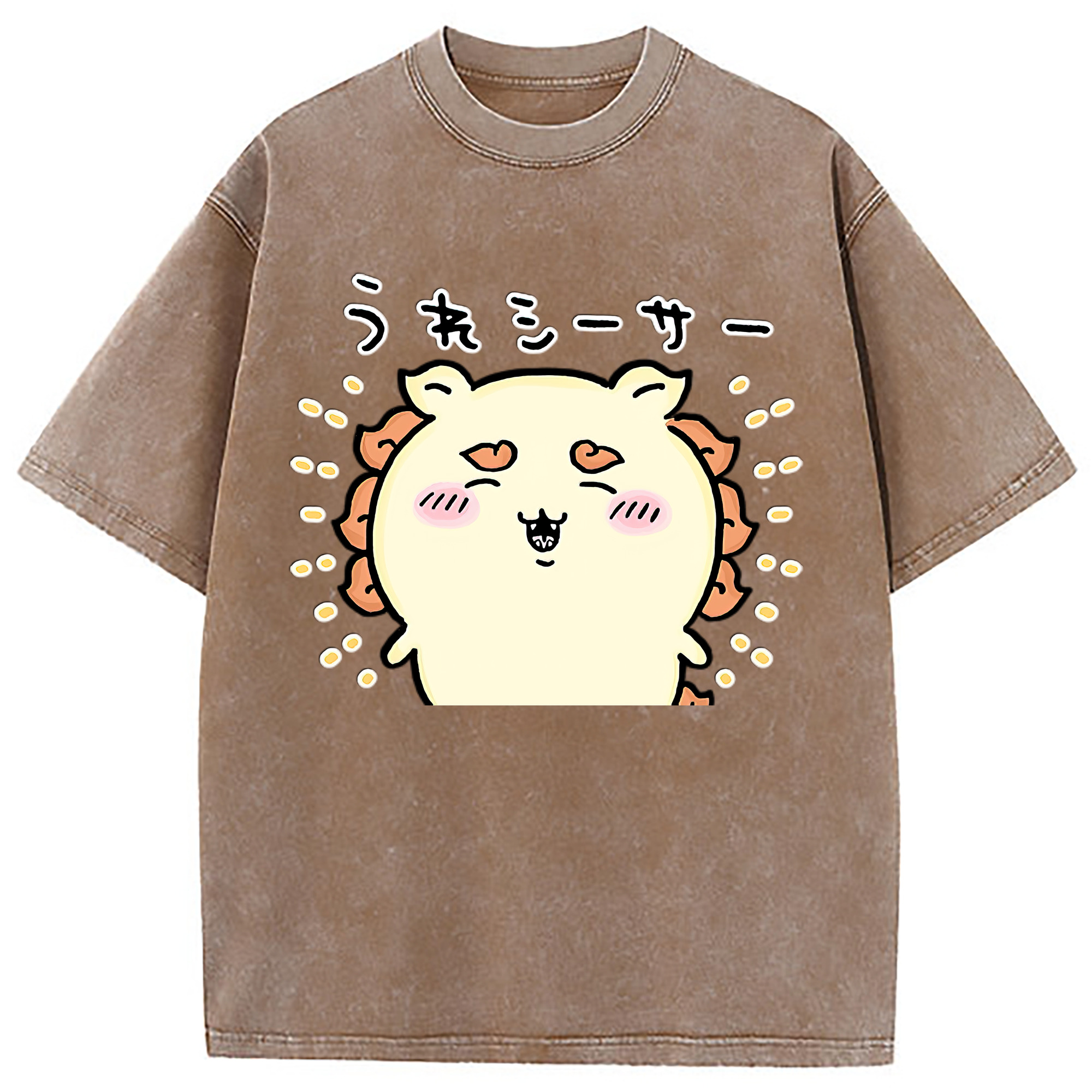 （画像用） ちいかわ シーサー Chii-kawa Shisa 綿100% ヴィンテージ風 半袖Tシャツ（フロントプリント）