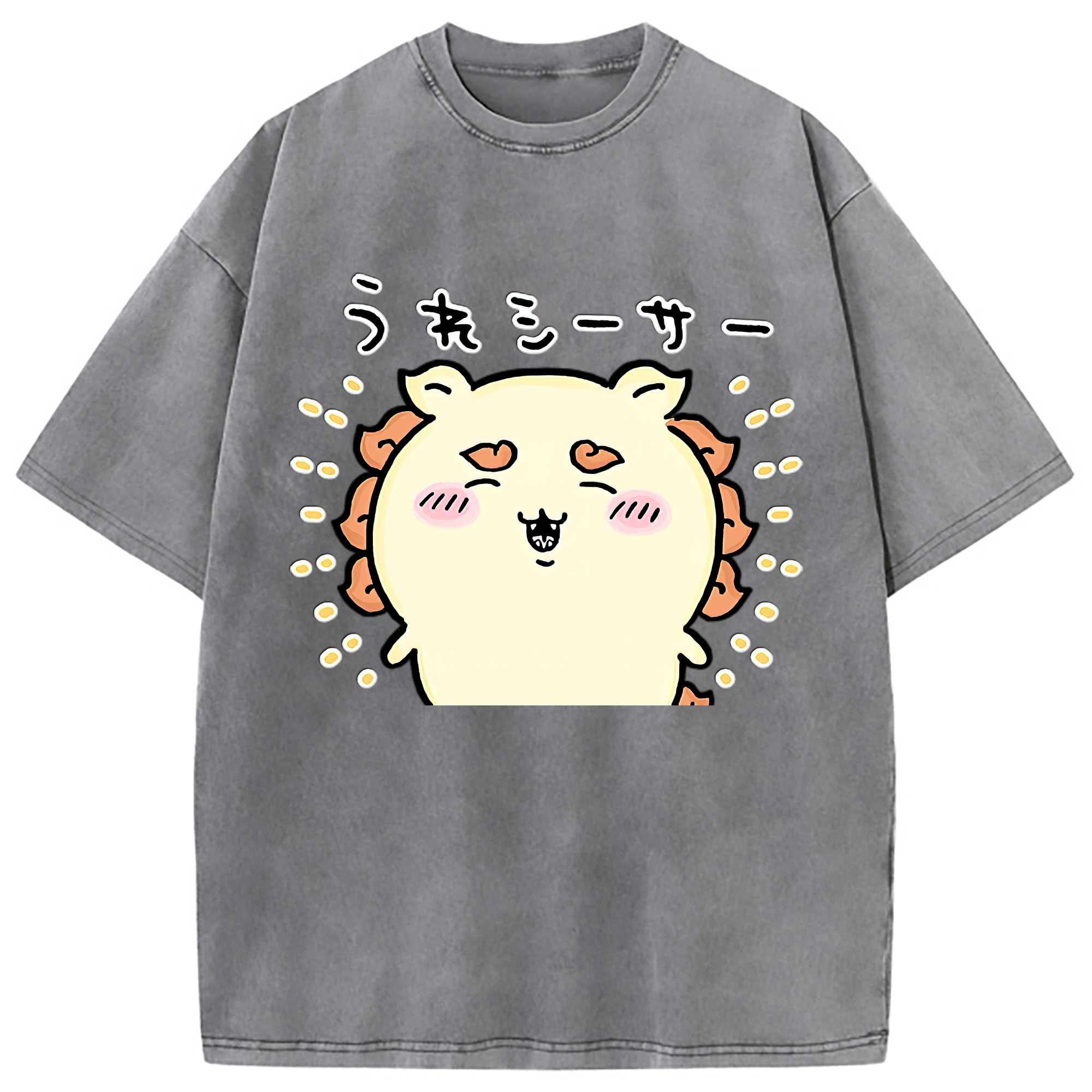（画像用） ちいかわ シーサー Chii-kawa Shisa 綿100% ヴィンテージ風 半袖Tシャツ（フロントプリント）