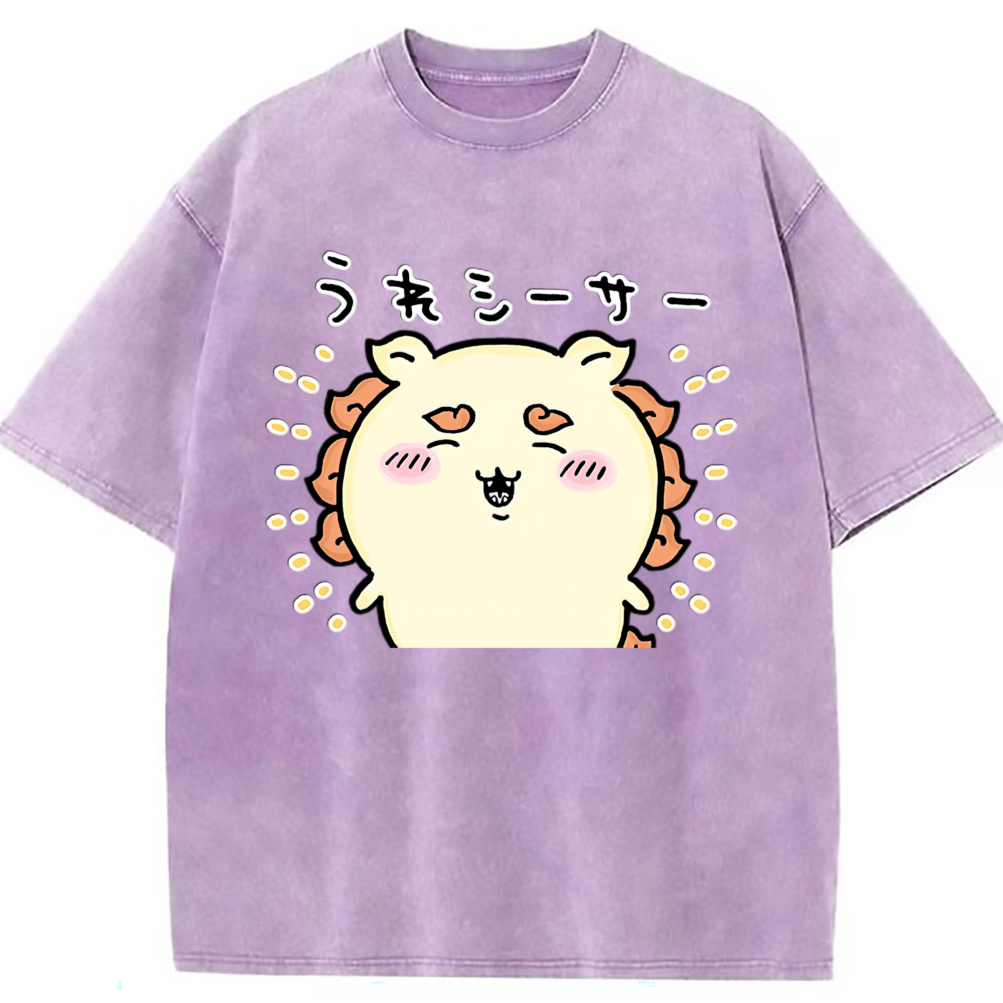 （画像用） ちいかわ シーサー Chii-kawa Shisa 綿100% ヴィンテージ風 半袖Tシャツ（フロントプリント）