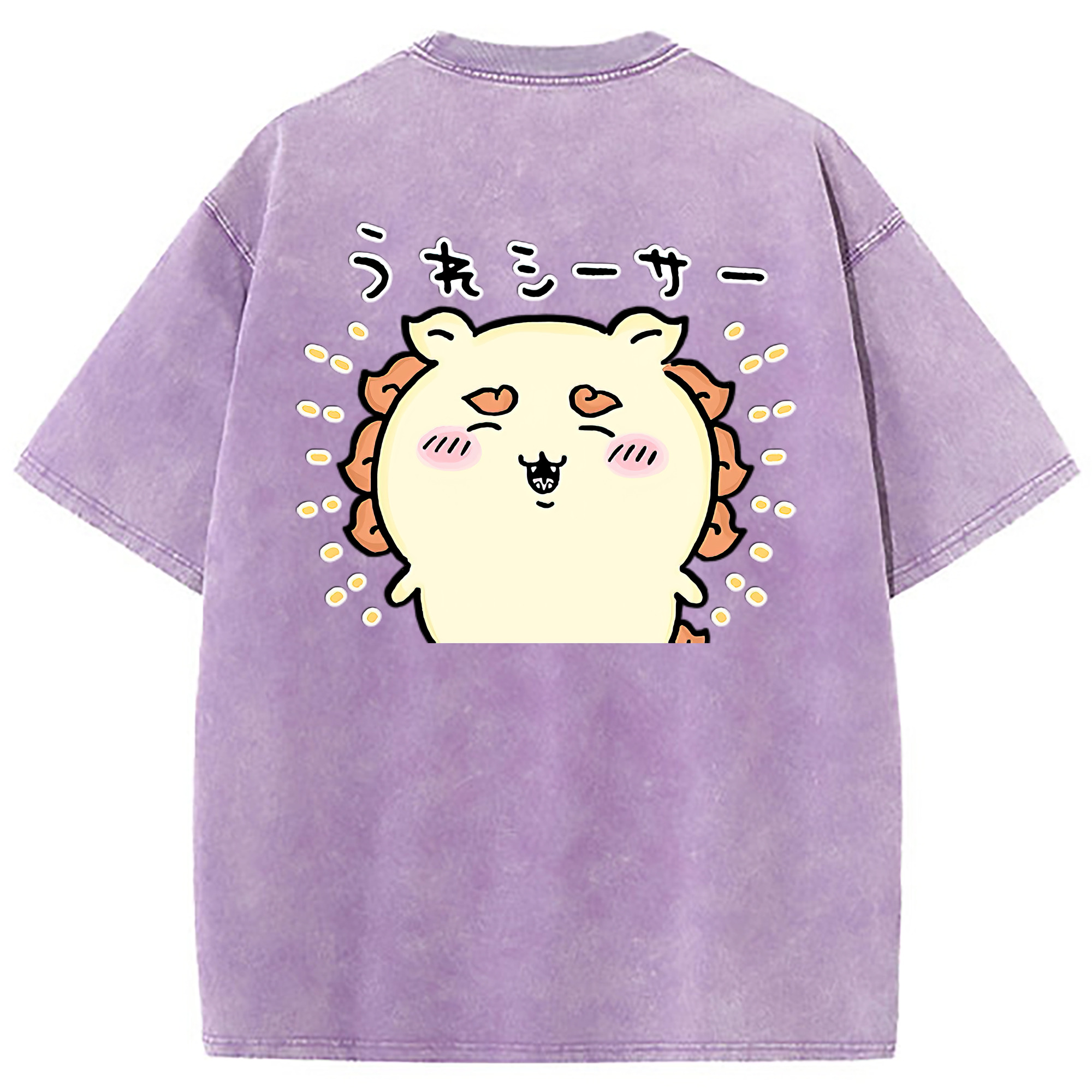 （画像用） ちいかわ シーサー Chii-kawa Shisa 綿100% ヴィンテージ風 半袖Tシャツ（背面プリント）